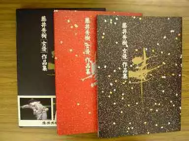 ケース付)藤井秀樹女優作品集 二冊揃