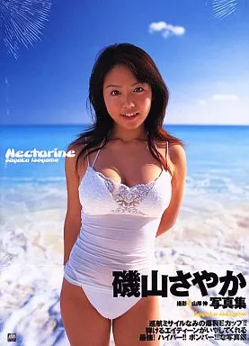 駿河屋 -磯山さやか写真集 Nectarine（その他） | www.suruga-ya.jp