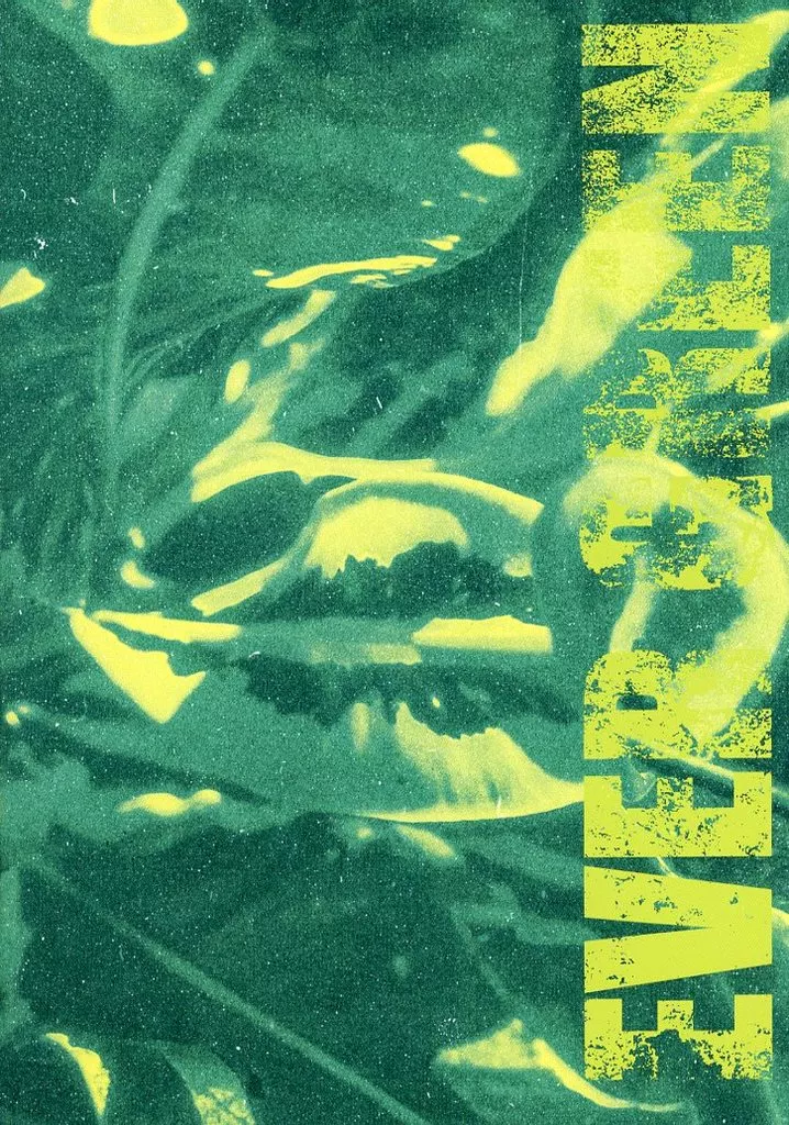 EVER GREEN初回限定盤 TOOBOEメジャー2ndアルバム「EVER GREEN」の各CD店の特典絵柄を公開