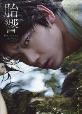 男性写真集　綾野剛写真集 胎響