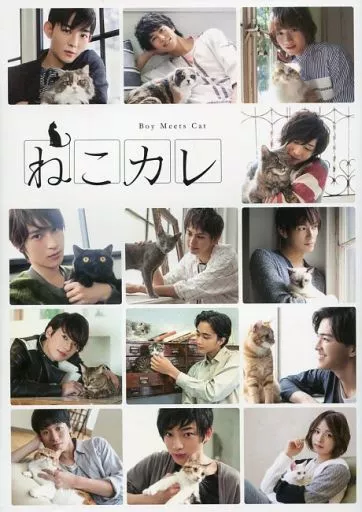 2.5次元 ねこカレ