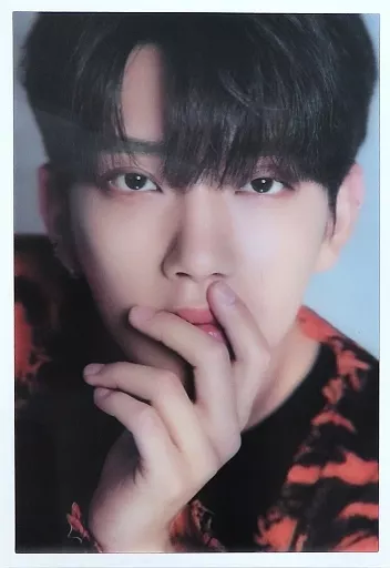 駿河屋 -<中古><<韓流>> 付録付)Dicon D'FESTA SEVENTEEN JOSHUA