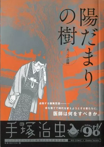 陽だまりの樹 丑三つの決闘