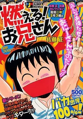 【中古】 燃える！お兄さん 是羽二中２年３組編/集英社/佐藤正 駿河屋 -<中古>燃える!お兄さん 是羽ニ中2年3組編（コンビニコミック）