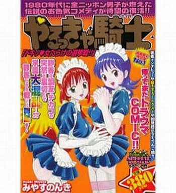 やるっきゃ騎士 ドキッ女だらけの選挙戦!!(4) / みやすのんき
