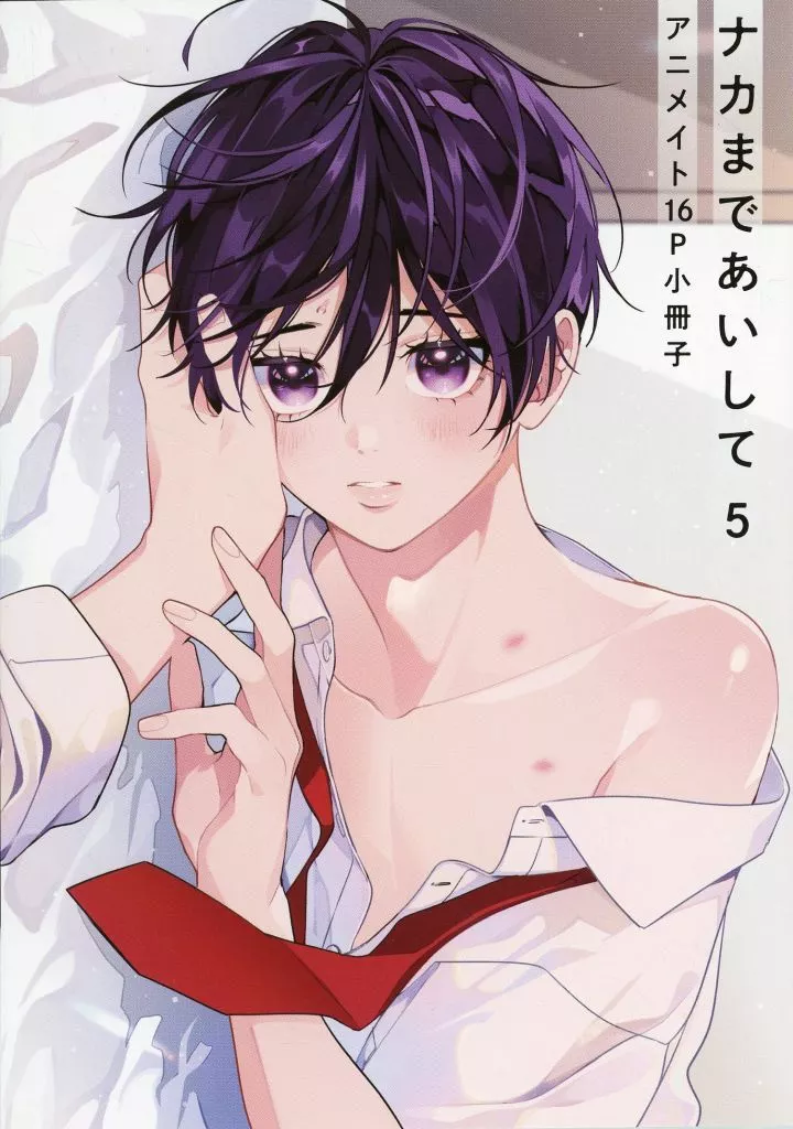 百瀬あん先生　まとめ売り　ナカまであいして　他　特装版小冊子 百瀬あん先生 まとめ売り ナカまであいして1〜5巻 他 特装版