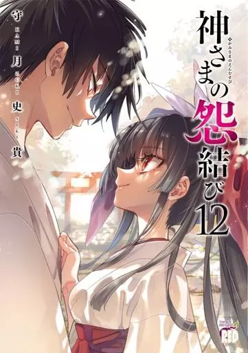 神さまの怨結び　全巻(12巻セット) 駿河屋 -<中古>神さまの怨結び 全12巻セット / 守月史貴（青年(B6