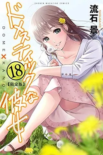 ドメスティックな彼女　特装版 多数 流石景　マンガ　漫画　特典 駿河屋 -<中古>特典付)限定18)ドメスティックな彼女 特装版 / 流石景