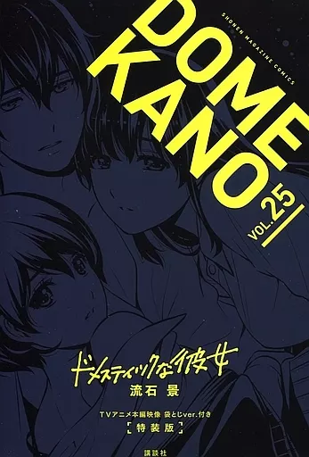 駿河屋 -<中古>特典付)限定25)ドメスティックな彼女 特装版 / 流石景