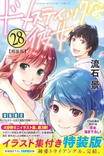 ドメスティックな彼女　特装版 多数 流石景　マンガ　漫画　特典 駿河屋 -<中古>特典付)限定28)ドメスティックな彼女 特装版 / 流石景