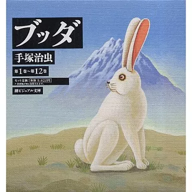 ブッダ(文庫版)専用BOX入り 全12巻セット