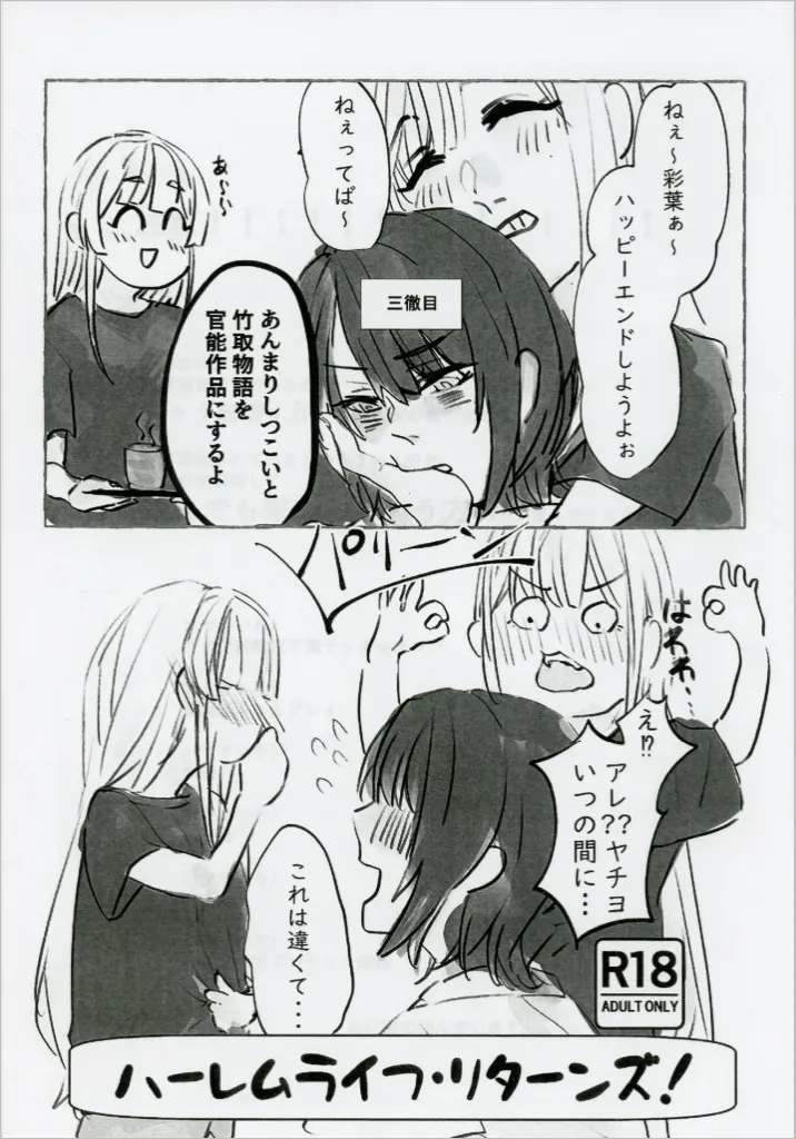 その他アニメ・漫画 【コピー誌】ハーレムライフ・リターンズ！ / 里見真一 / しんいちくん