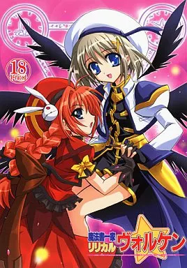 魔法少女リリカルなのは 魔法書一家リリカルヴォルケン / かん奈 / PLUM