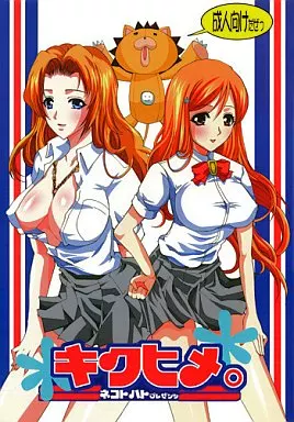 BLEACH キクヒメ。 / 鳩矢豆七 / ねことはと