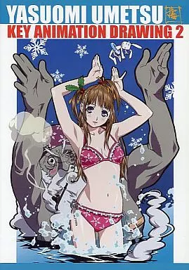 しし座流星軍　梅津泰臣　KEY ANIMATION DRAWING 13 14 しし座流星軍(梅津泰臣/『YASUOMI UMETSU KEY ANIMATION DRAWING 14