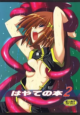 はやての本 2 – 魔法少女リリカルなのは