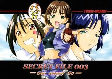 SECRET FILE 003_image
