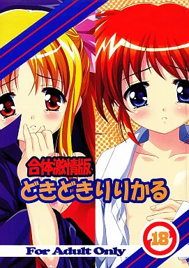 魔法少女リリカルなのは 合体激情版どきどきりりかる / 平木直利 / 自由ヶ丘商店街