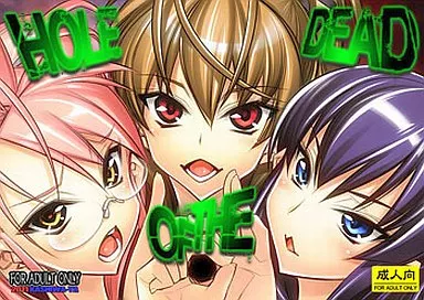 学園黙示録 HIGHSCHOOL OF THE DEAD HOLE OF THE DEAD / かしわ屋