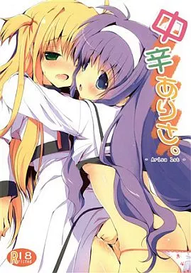 魔法少女リリカルなのは 中辛ありさ / みるこみ