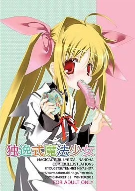 独逸式魔法少女 – 魔法少女リリカルなのは