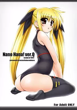 魔法少女リリカルなのは Nano Hana! ver.Q -scene of FATE- / こっそり隠れ処