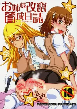 とある魔術の禁書目録 お姉様改竄育成日誌 / 眞嶋堂