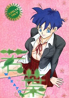 ドラゴンボール 若葉 / ふすま御殿＆ちり紙小屋