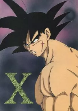 ドラゴンボール X / ふすま御殿＆ちり紙小屋（本体不備（中））