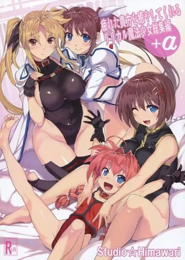 魔法少女リリカルなのは 疲れた貴方を癒やしてくれるリリカル魔法少女総集編+α / 日向恭介 / スタジオ☆ひまわり