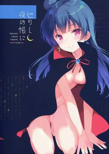 ラブライブ！サンシャイン！！ 【冊子単品】巡りし夜の帳に / トメ太 / ピメコ / QP：FLAPPER