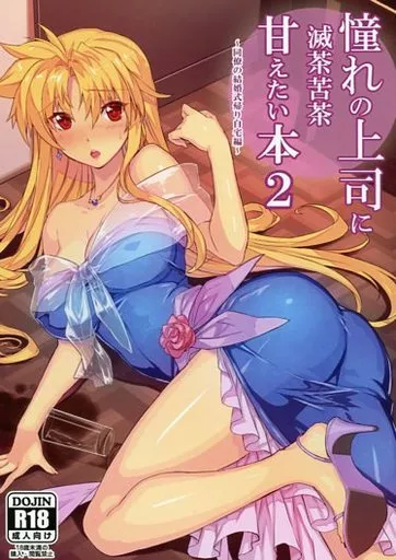 魔法少女リリカルなのは 憧れの上司に滅茶苦茶甘えたい本 2 ～同僚の結婚式帰り自宅編～ / 日向恭介 / スタジオ☆ひまわり