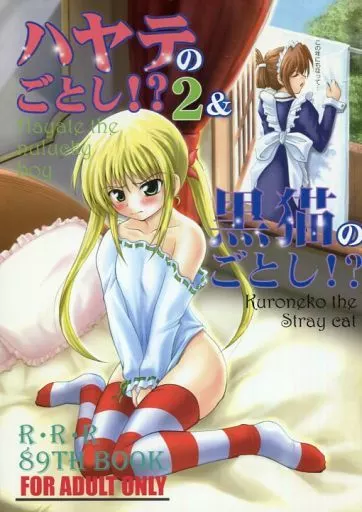 ハヤテのごとく ハヤテのごとし2＆黒猫のごとし / 魔公子 / RED RIBBON REVENGER