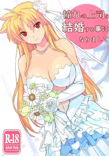 魔法少女リリカルなのは 憧れの上司と結婚する事になりまして / 日向恭介 / スタジオ☆ひまわり
