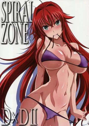 SPIRAL ZONE D×DII – その他アニメ・漫画