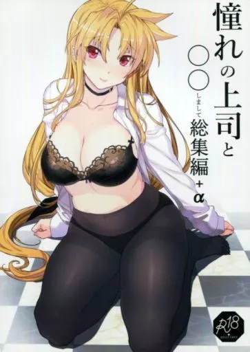 魔法少女リリカルなのは 憧れの上司と○○しまして 総集編 / 日向恭介 / スタジオ☆ひまわり