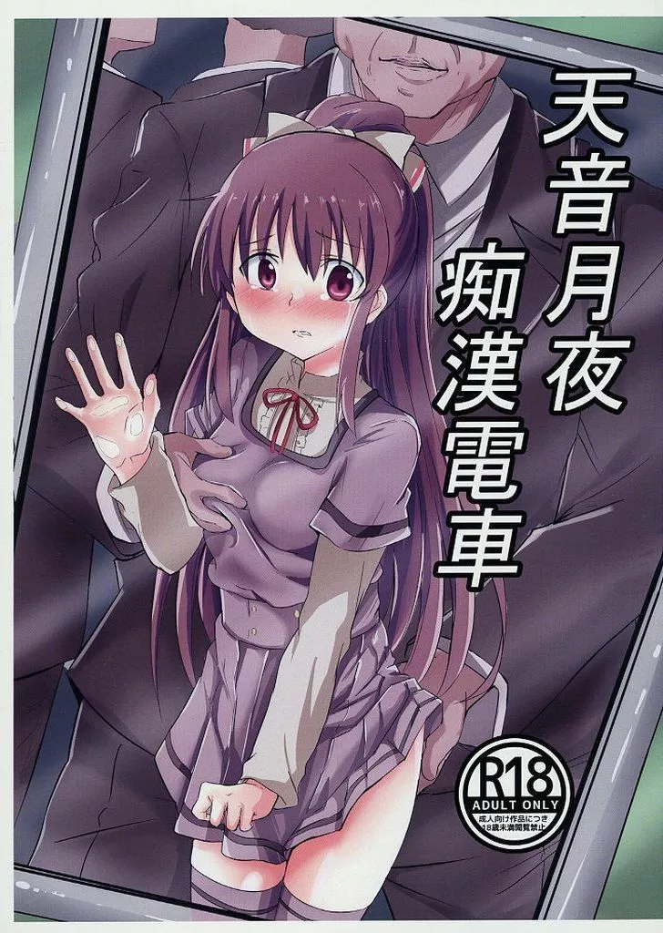 魔法少女まどか☆マギカシリーズ 天音月夜痴漢電車 / うや / たけのこ苑