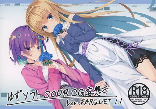 Y*様 ジャンク　chaosTCG まとめて　ゆずソフト　野良とと　シュタゲ　な セットグループ「ゆずソフト」(17 枚)｜ChaosTCG