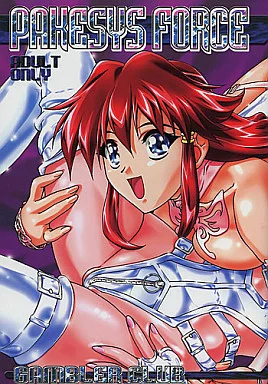 その他ゲーム PAKESYS FORCE / jun kohsaka / ギャンブラー倶楽部