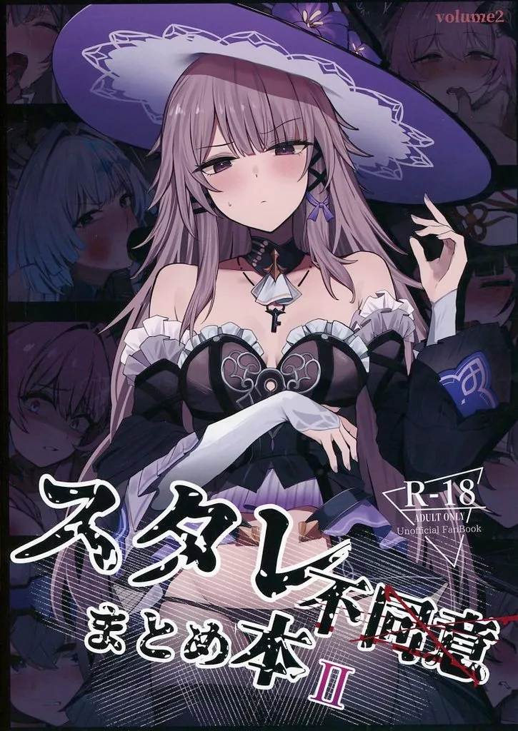 スタレ不同意まとめ本 Ⅱ ZHOI137833image