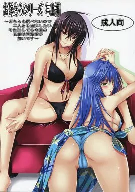 お嫁さんシリーズ 年上編 ～どちらも選べないので二人とも嫁にしたい それにしても今回の表紙は季節感が無いです～ – その他ゲーム