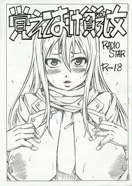 その他ゲーム 【コピー誌】 覚えておけ貧乳女 / 工藤洋 / RADIO STAR