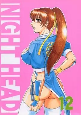 DEAD OR ALIVE NIGHT HEAD 12 / 改多丸 / サークル太平天国