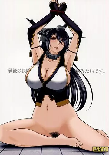 艦隊これくしょん 戦後の長門さんは・・・ / 千葉秀作 / サークルOUTER WORLD
