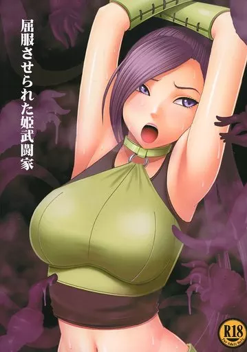 ドラクエ 屈服させられた姫武闘家 / カーマイン / クリムゾン