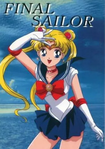 男性向一般同人誌　<<セーラームーン>> ランクB)FINAL SAILOR / 只野和子