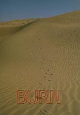 BURN ZHOMI146450image