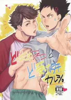 ハイキュー！！ ど攻めネコとド受けタチカレシ。 / しのはら （及川徹×岩泉一） / 2days