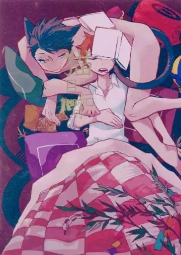 ハイキュー！！ 猫の目紀行 / チー （及川徹×日向翔陽） / ヨードホルム