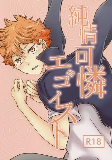 ハイキュー！！ 純情可憐エゴイスト / 水元 （影山飛雄×日向翔陽） / 比翼のカラス